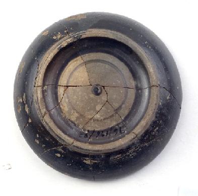 Marian Venceslá Delgado (CERES) 